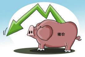 猪企上半年大面积预亏 生猪价格扭转尚需时日